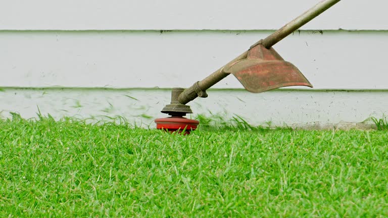 Lawn Watering Services